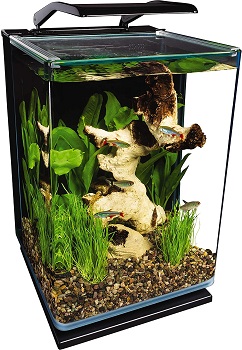 BEST CUBE 5 GALLON SALTWATER TANK