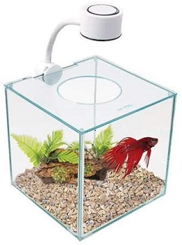 BEST CUBE CHEAP BETTA FISH TANK