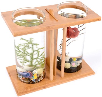 BEST DECORATION BAMBOO BETTA TANK