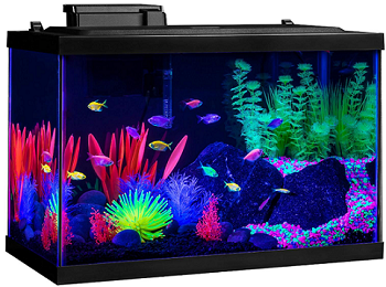 BEST DECORATION SALTWATER SAFE AQUARIUM