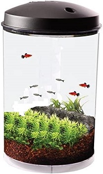 BEST FILTER 3 GALLON BETTA TANK