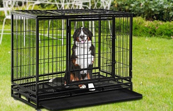 BEST INDOOR 48 INCH HEAVY DUTY DOG CRATE