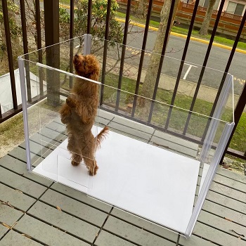 BEST INDOOR ACRYLIC DOG CRATE