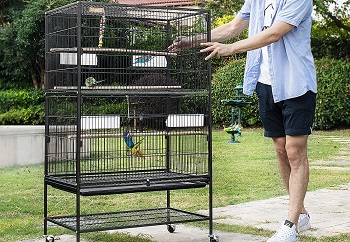 BEST INDOOR BIRD CAGE FOR TWO PARAKEETS