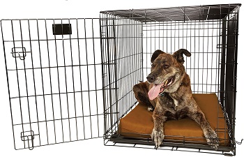 BEST LARGE DURABLE DOG CRATE PAD