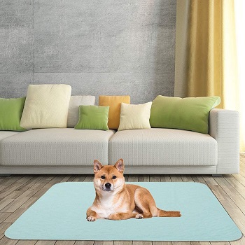 BEST LARGE MAT FOR UNDER DOG CRATE