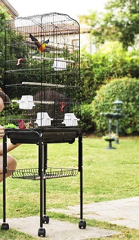 BEST LARGE VINTAGE WROUGHT IRON BIRD CAGE