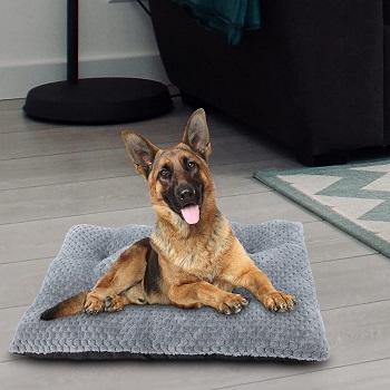 BEST MEDIUM NON SLIP MAT FOR DOG CRATE