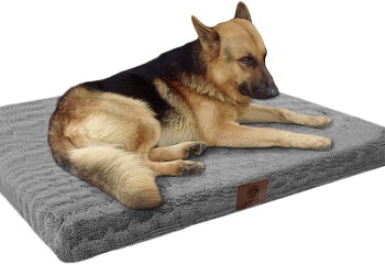 BEST MEMORY FOAM DOG BED FOR CRATE