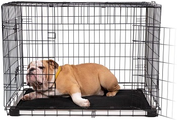 BEST METAL DOG CRATE PAD WASHABLE