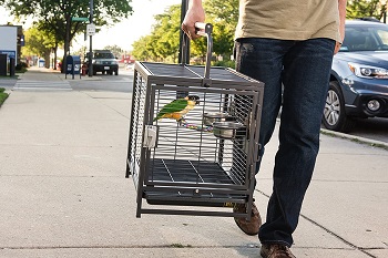 BEST METAL PARAKEET CARRIER