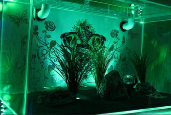 BEST MODERN 150 GALLON TURTLE TANK