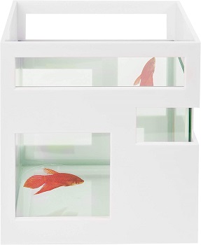 BEST MODERN 2 GALLON BETTA FISH TANK