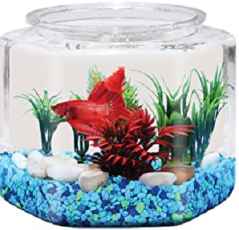 BEST OF BEST 2 GALLON BETTA TANK