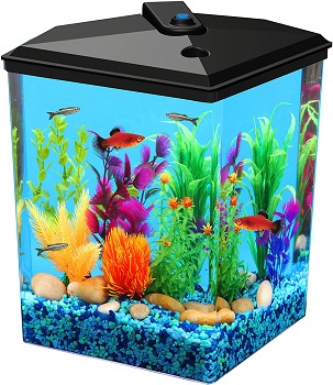 BEST OF BEST 2.5 GALLON BETTA FISH TANK