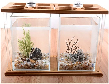 Top 5 Bamboo Betta Tank & Vase Decorating Your Place Reviews