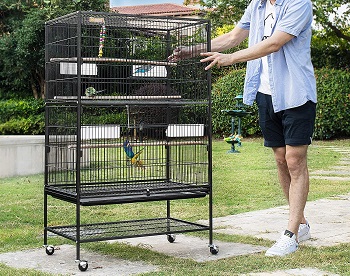 BEST OF BEST BIG PARAKEET CAGE