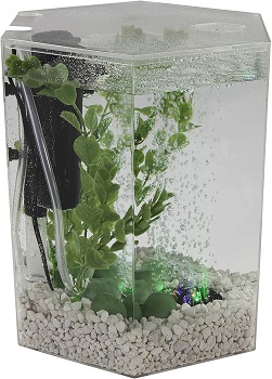 BEST OF BEST CHEAP BETTA FISH TANK