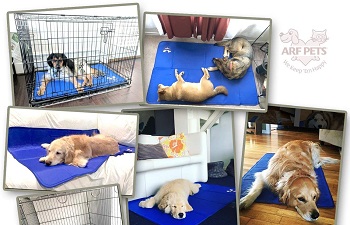 BEST OF BEST COOLING CRATE PAD