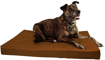 BEST OF BEST CRATE BED FOR PUPPIES