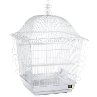 BEST OF BEST HANGING PARAKEET CAGE USmmary