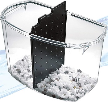 Best 6 Hospital Tank For Betta Fish Every Home Needs Reviews