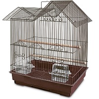 BEST OF BEST PARAKEET BIRD HOUSE SUmmary