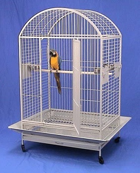 BEST ON WHEELS ANTIQUE WROUGHT IRON CAGE