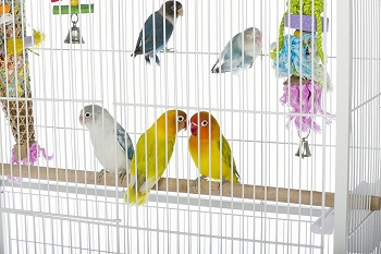 BEST PARAKEET LARGE WHITE BIRD CAGE