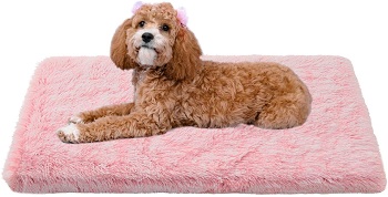 BEST PINK MEMORY FOAM DOG CRATE PAD