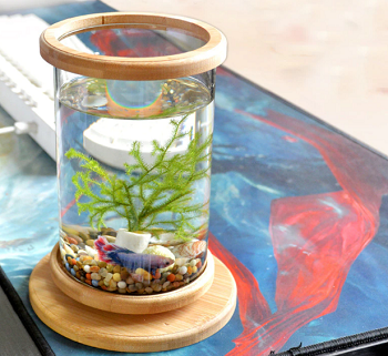 Top 5 Bamboo Betta Tank & Vase Decorating Your Place Reviews