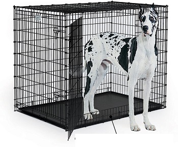 BEST PLASTIC DOG CRATE TRAY XL