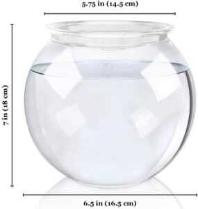 Best 6 Small Goldfish Tanks For One Or Multiple Mini Fishes