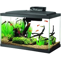 BEST SALTWATER BETTA TANK WITH FILTER AND HEATER summary
