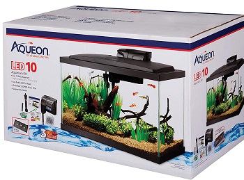BEST SALTWATER BETTA TANK WITH FILTER AND HEATER