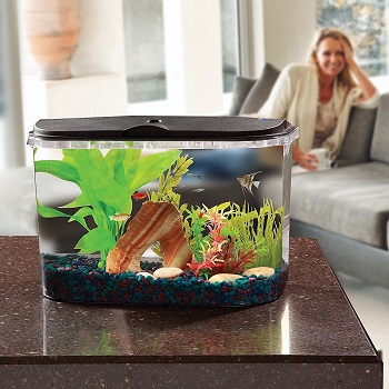 6 Best 5-gallon Saltwater Tank With Various Designs Reviews