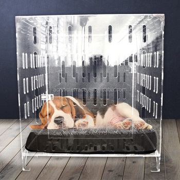 BEST SMALL ACRYLIC DOG CRATE