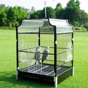 BEST SMALL ANTIQUE HANGING BIRD CAGE