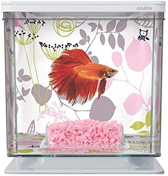 BEST SMALL BETTA FISH TANK STARTER KIT