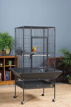 BEST SMALL BIRD EXTRA LARGE PARAKEET CAGE