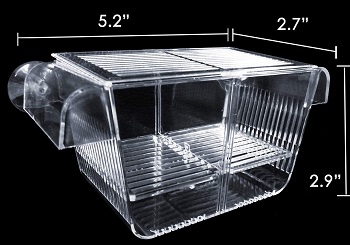 BEST SMALL HOSPITAL TANK FOR BETTA