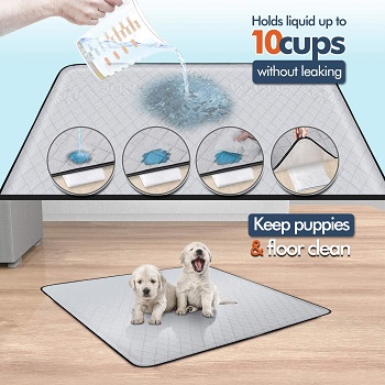 BEST SMALL MAT FOR UNDER DOG CRATE