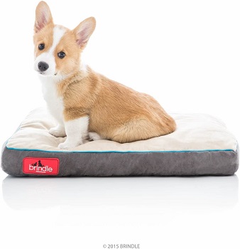 BEST SMALL MEMORY FOAM DOG CRATE PAD