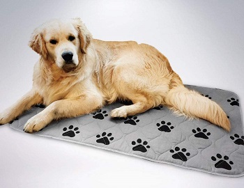 BEST-SMALL-WATERPROOF-DOG-CRATE-MAT