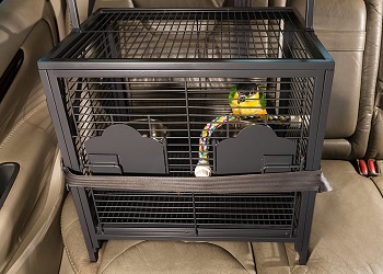 BEST TRAVEL SMALL PARAKEET CAGE