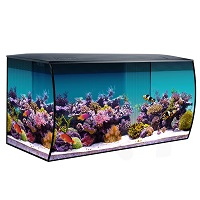 BEST WITH FILTER 30-GALLON SALTWATER TANK summary