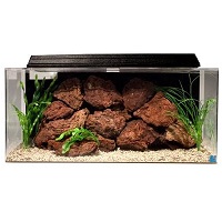 BEST WITH FILTER 40-GALLON SALTWATER TANK summary