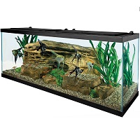 BEST WITH FILTER 55-GALLON SALTWATER FISH TANK summary