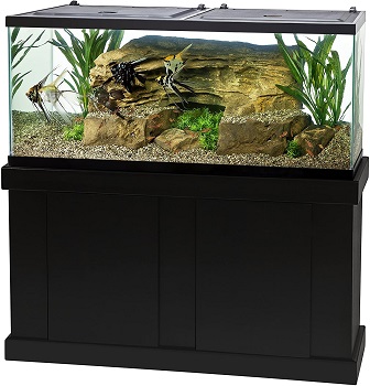 BEST WITH FILTER 55-GALLON SALTWATER FISH TANK
