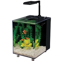 6 Best 2-gallon Betta Fish Tank All Generations Love Reviews